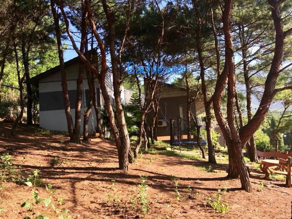 هانوي Bachlien Pine Forest Villa المظهر الخارجي الصورة