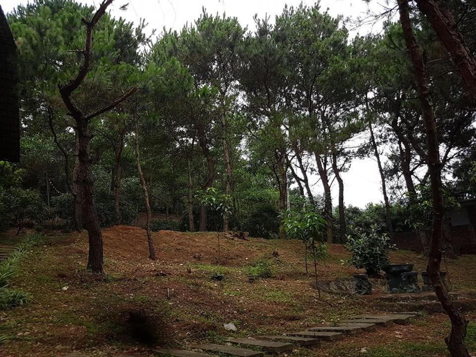 هانوي Bachlien Pine Forest Villa المظهر الخارجي الصورة