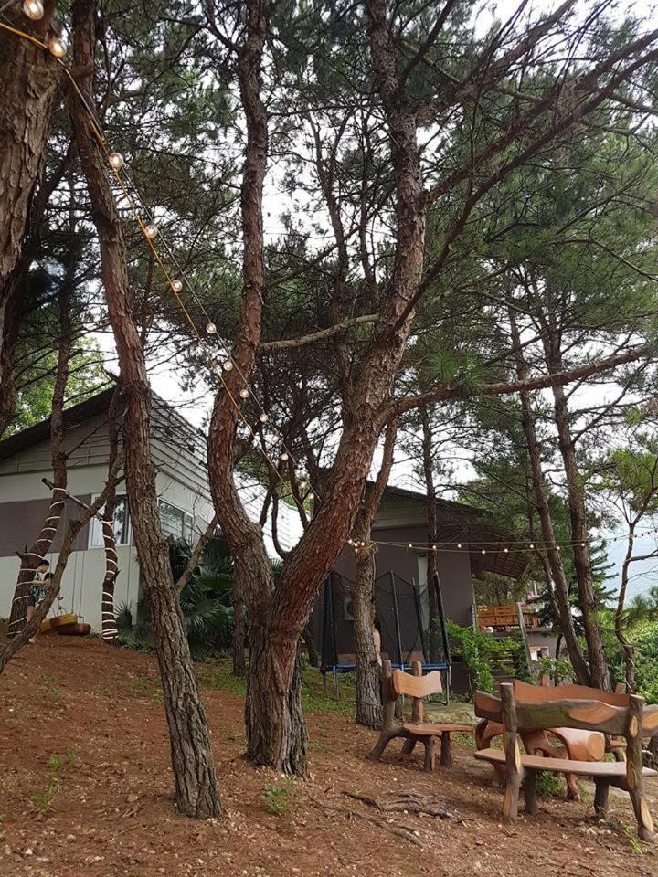 هانوي Bachlien Pine Forest Villa المظهر الخارجي الصورة